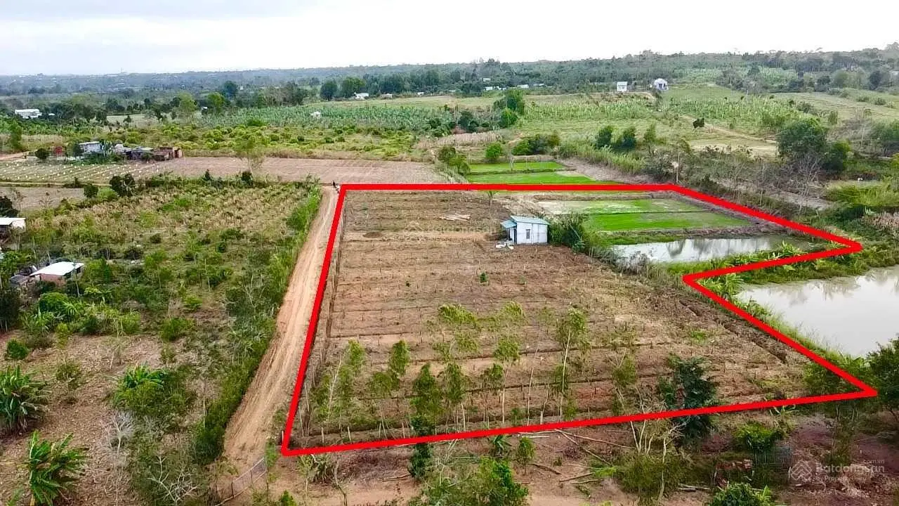 Bán sỉ 10 lô đất vị trí siêu đẹp thị trấn Ea Kar, cam kết giá tốt nhất