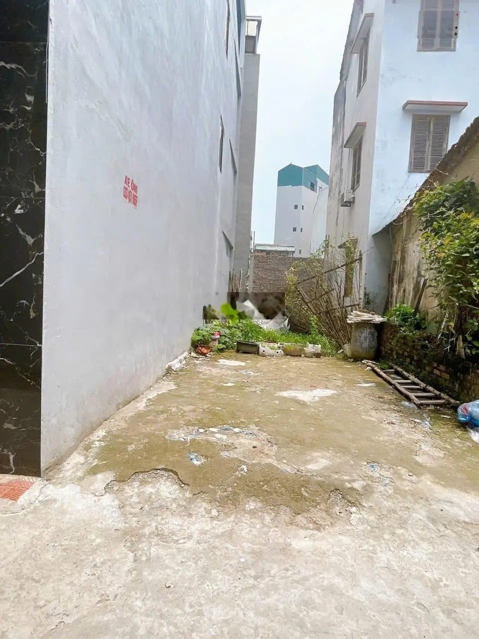 Bán đất Miêu Nha, Tây Mỗ, Nam Từ Liêm, DT 50m2, giá 4,65 tỷ