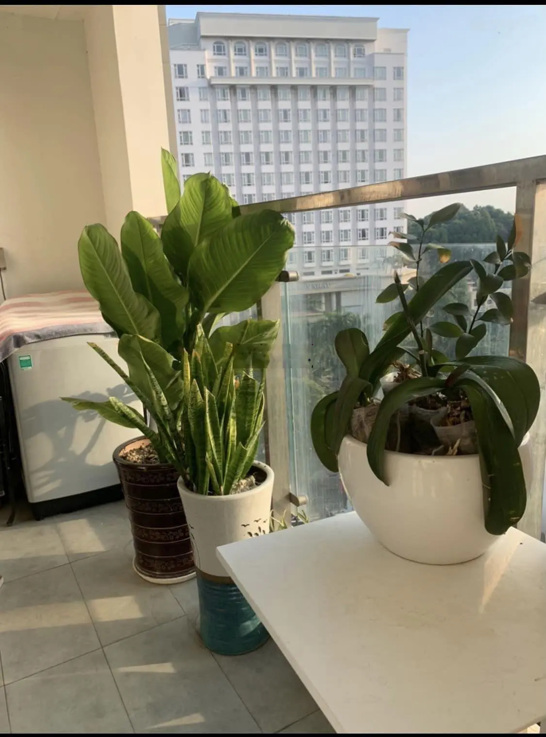 Cần bán gấp căn hộ Kingston Residence - giá cực kỳ sốc
