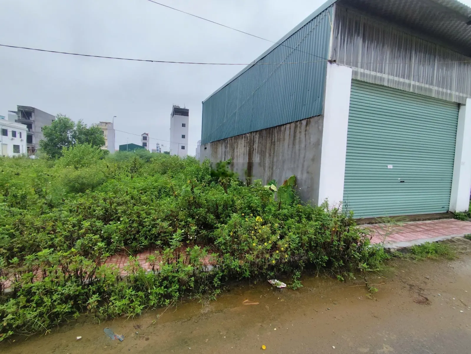 Bán 71.1m2 mặt tiền 4.66m nở hậu, đất dịch vụ Song Phương. Phong thủy đẹp. Giá cam kết rẻ nhất