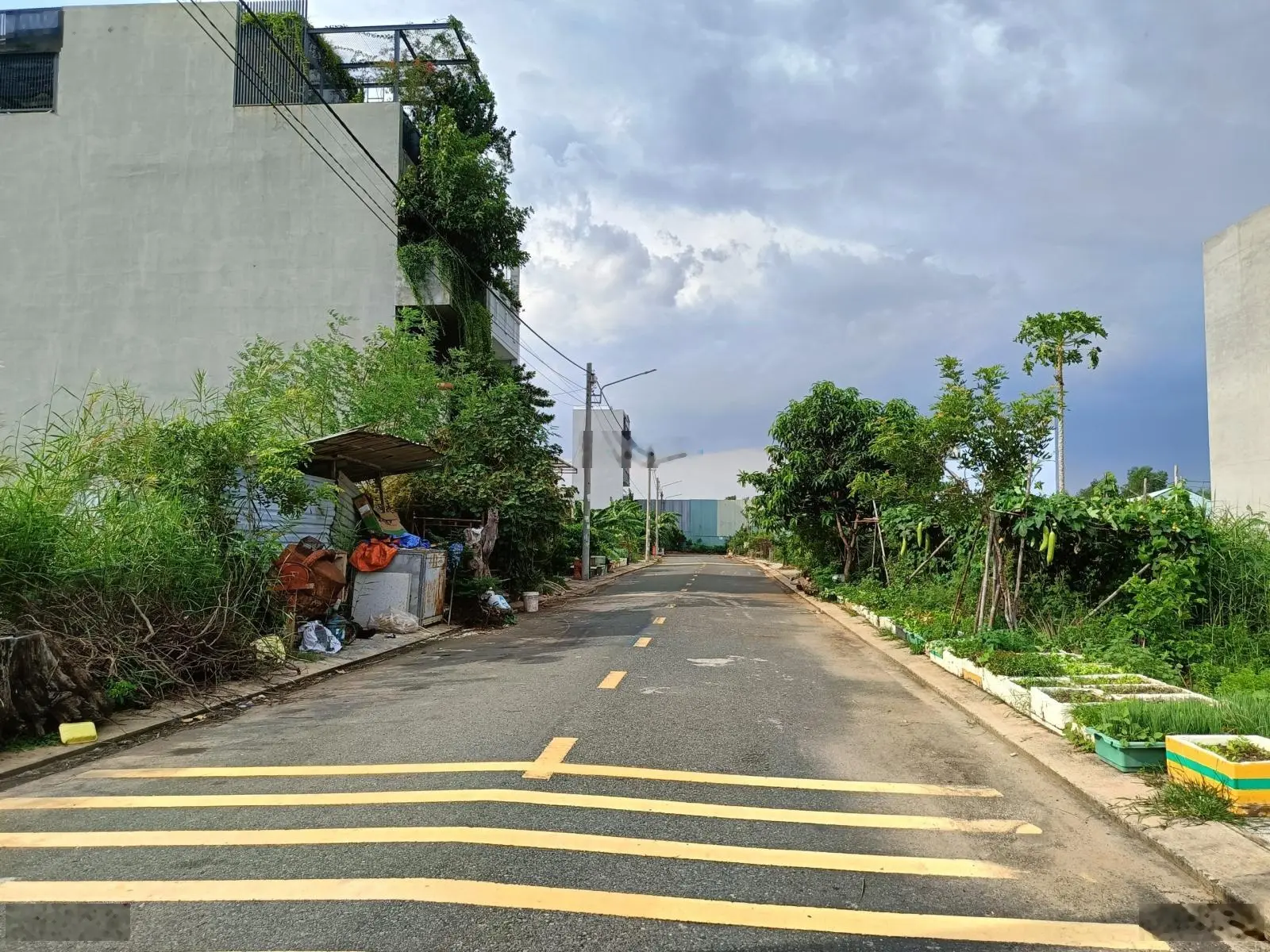 56m2(4x14), DA Đảo Kim Cương, sạch đẹp, hướng T, B, đường nhựa 9m. P Trường Thạnh, TP Thủ Đức, HCM