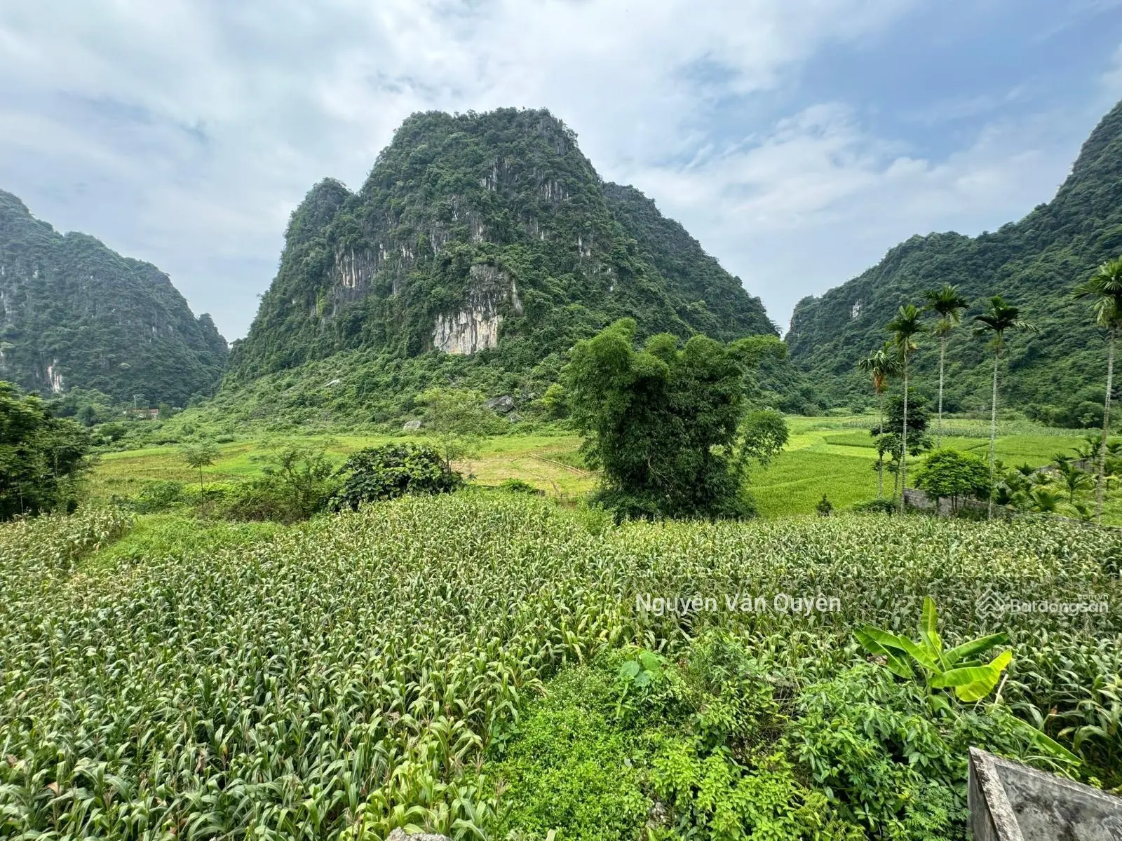 Chính chủ bán lô đất tại Thanh Sơn, Lương Sơn, Hoà Bình, diện tích: 3124,2m2, liên hệ: 0339 669 ***