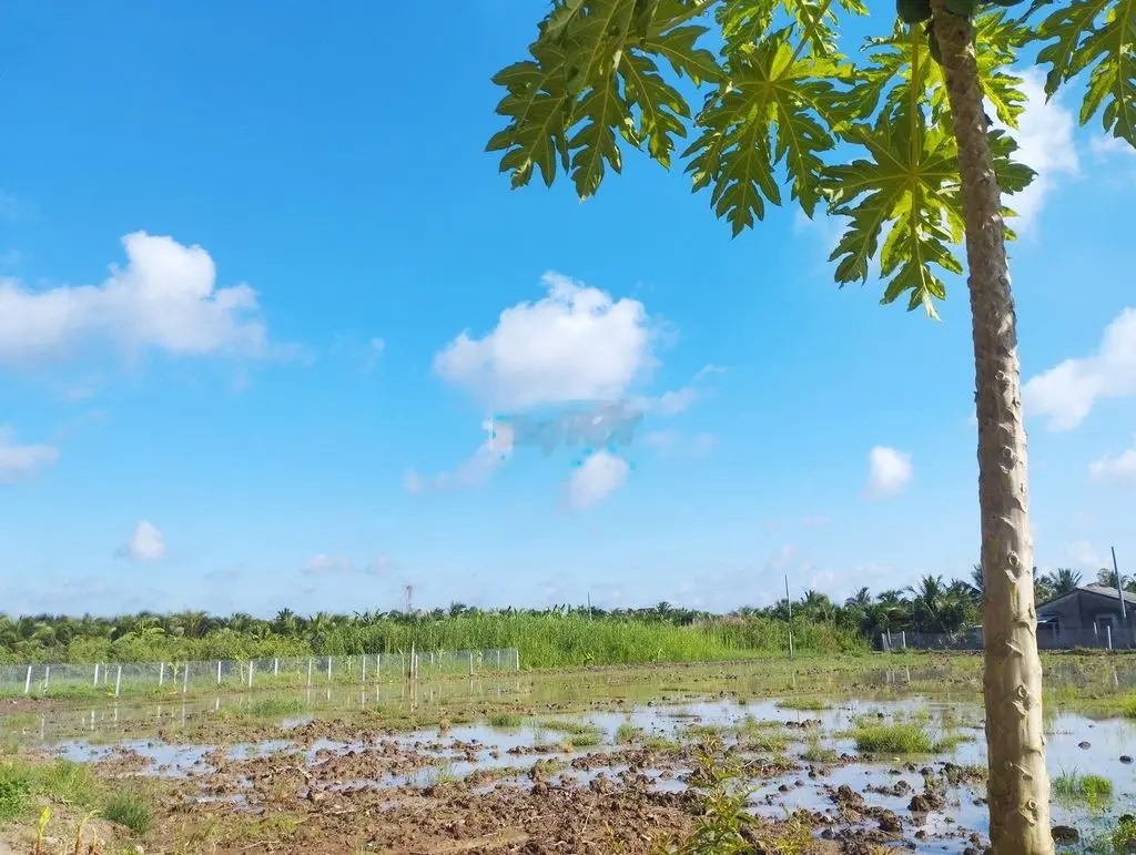 Đất Phước Thạnh, Mỹ Tho, Tiền Giang thông đường dẫn cao tốc, QL1A