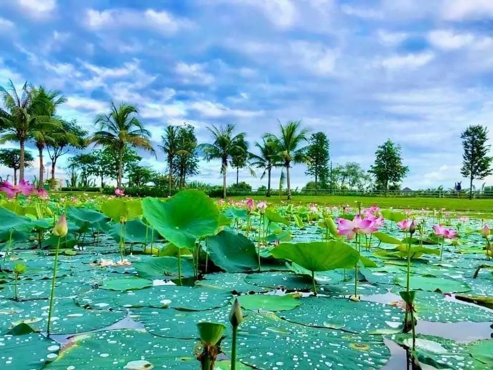 Nhà Phố Biệt Thự Park Riverside Các Căn Giá Tốt Đang Bán. Nhà Phố Từ 9,1 tỷ Full Nội Thất