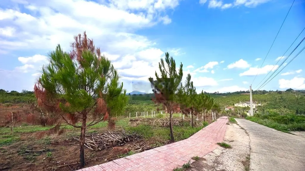 Bán đất Lộc An Bảo Lâm. Diện tích 139,6 m2.Cách Quốc lộ 20 chỉ 4km.