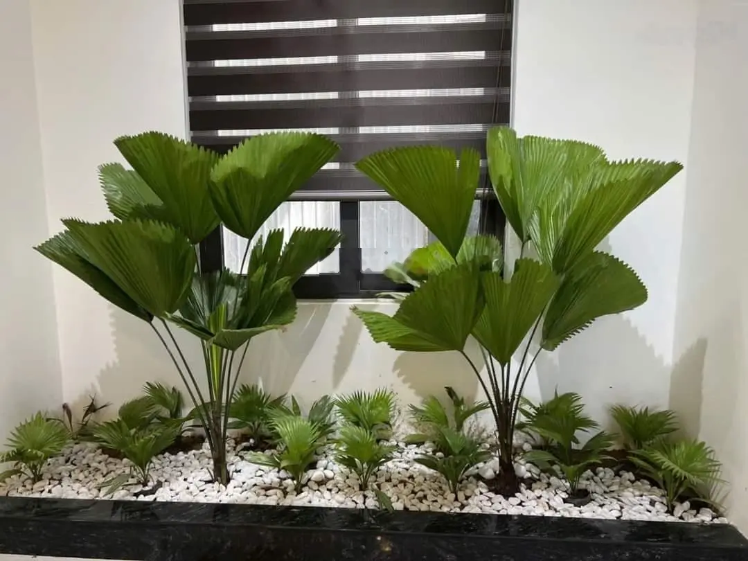 Bán nhà biệt thự 3 mê Tân Cổ Điển sát biển vị trí vip Tốt Động
