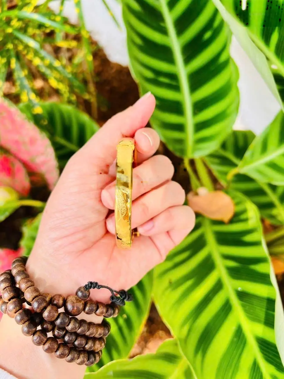 Bán đất ngay trung tâm thành phố Tây Ninh tặng ngay chỉ vàng cho khách công chứng sớm giá chỉ 6xx