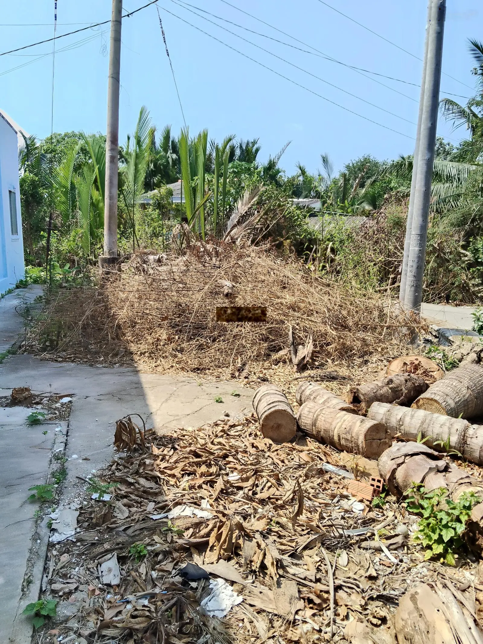 Bán gấp NR 2PN, 1WC, 238m2 tại Trần Hưng Đạo, Cần Đước, Long An, giá 1,2 tỷ