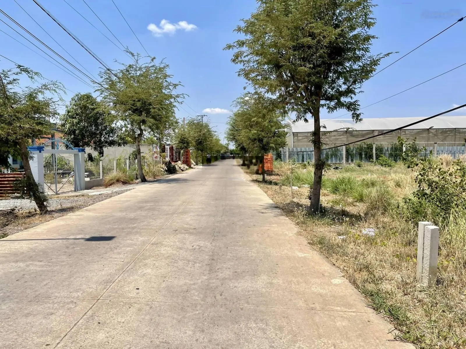 Đất mặt tiền đường Nguyễn Thị Bài, DT 150m2, cách QL50 chỉ 200m, SHR, giá rẻ