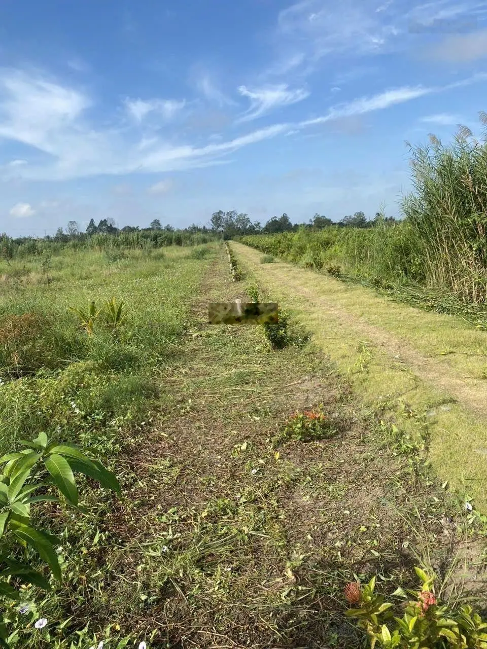 Bán miếng đất vườn nhỏ nhỏ Ngã Bát, P Thường Thạnh, Q Cái Răng, TP Cần Thơ lộ ô tô