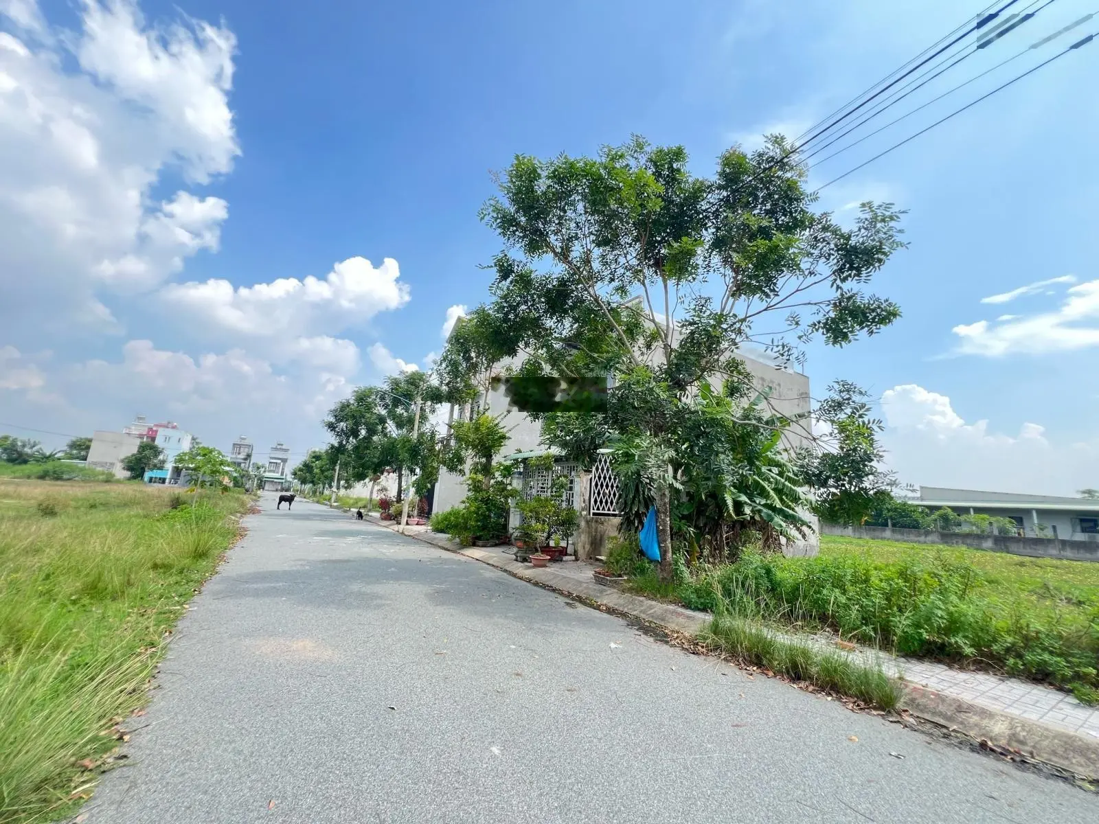 Cát Tường Phú Sinh bán đất đối diện khu du lịch sinh thái An Tây Hồ giá rẻ 790tr SHR rẻ nhất khu ạ