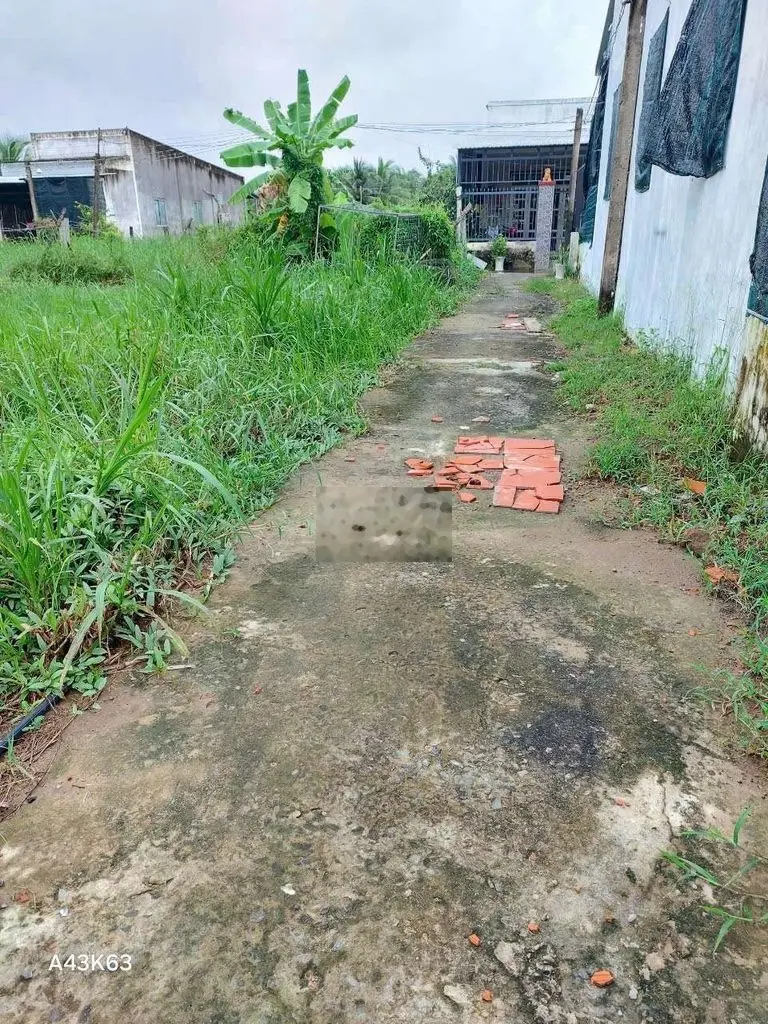 Bán đất nền giá rẻ (không bị quy hoạch) tại Xã Phú Nhuận- Tp Bến Tre
