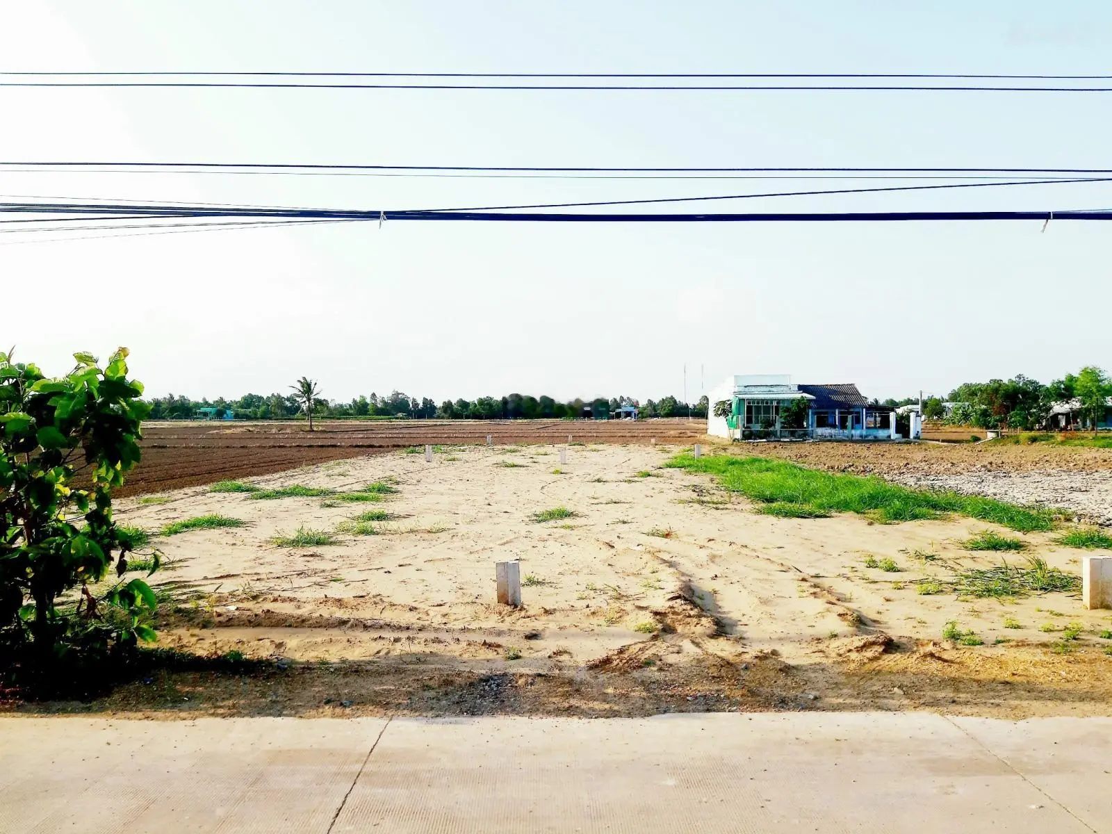 Chủ bán gấp lô đất thổ 240m2 mặt tiền đường Trần Văn Nghĩa 9m, giá rẻ hơn xung quanh 15%