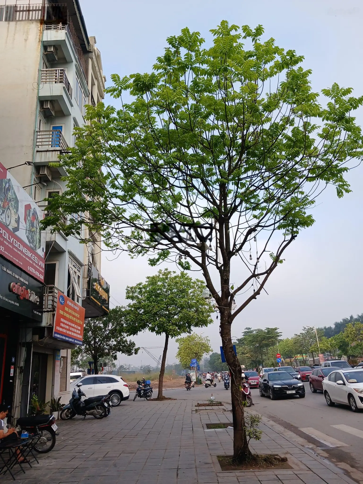 Bán nhà mặt phố cổ linh, nhà mới đẹp lung linh, tặng full nội thất xịn xò, thang máy