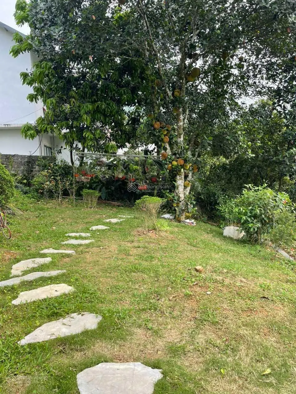 Chủ cần tiền cắt lỗ căn hơn 400m2 full nội thất đẹp nhất Lương Sơn giá rẻ ngã cây cắt lỗ trong tuần