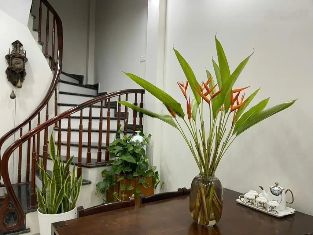 Nhà đẹp Phố Lệ Mật - Việt Hưng - Long Biên, nhỉnh 5 tỷ, cam kết thông tin và hình ảnh thật 100%