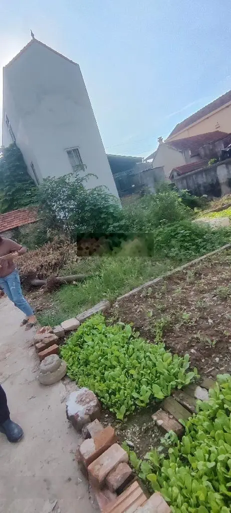 Sốc! Siêu phẩm cực hot, ngon bổ rẻ, bán đất - Phượng Trì - Đan Phượng - HN, diện tích 32m2 giá 2tỷ