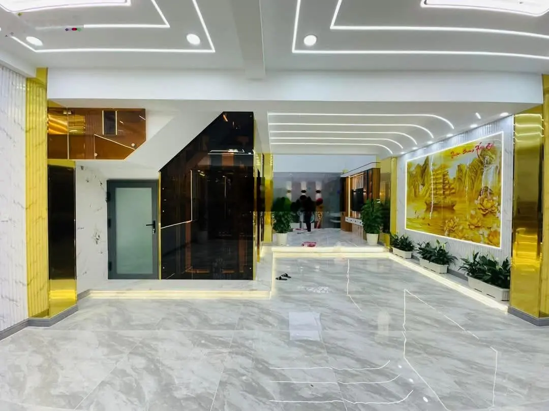 Biệt thự mặt tiền 7x15m có thang máy, nội thất full đẹp đường 12m Tân Chánh Hiệp 10, Q12