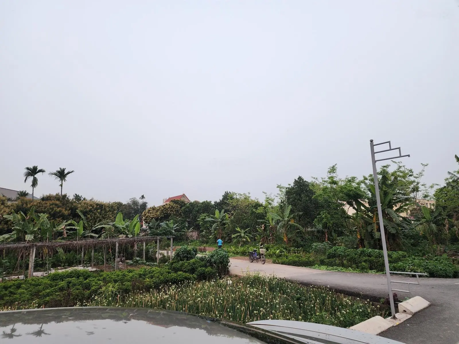 Bán trang trại view đẹp tại Phúc Hòa, Phúc Thọ, Hà Nội, 4,5 tỷ, 3600 m2