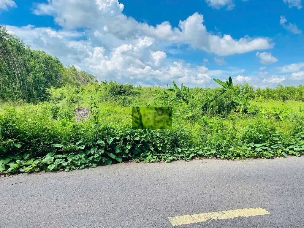 CHỦ NGỘP CẦN BÁN NHANH 1000M2 SĂN THỔ CƯ GẦN BIỂN LỘC AN- ĐẤT ĐỎ