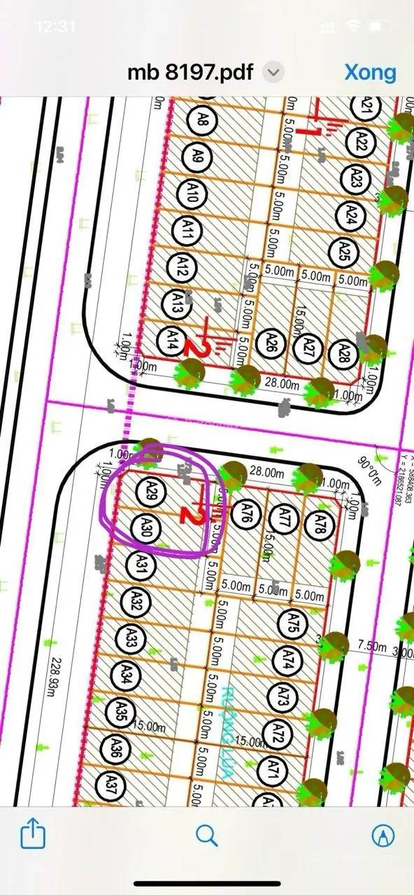 Chính chủ cần bán cặp lô đầu ve MBQH 8197 Phường quảng tâm TP Thanh Hóa
