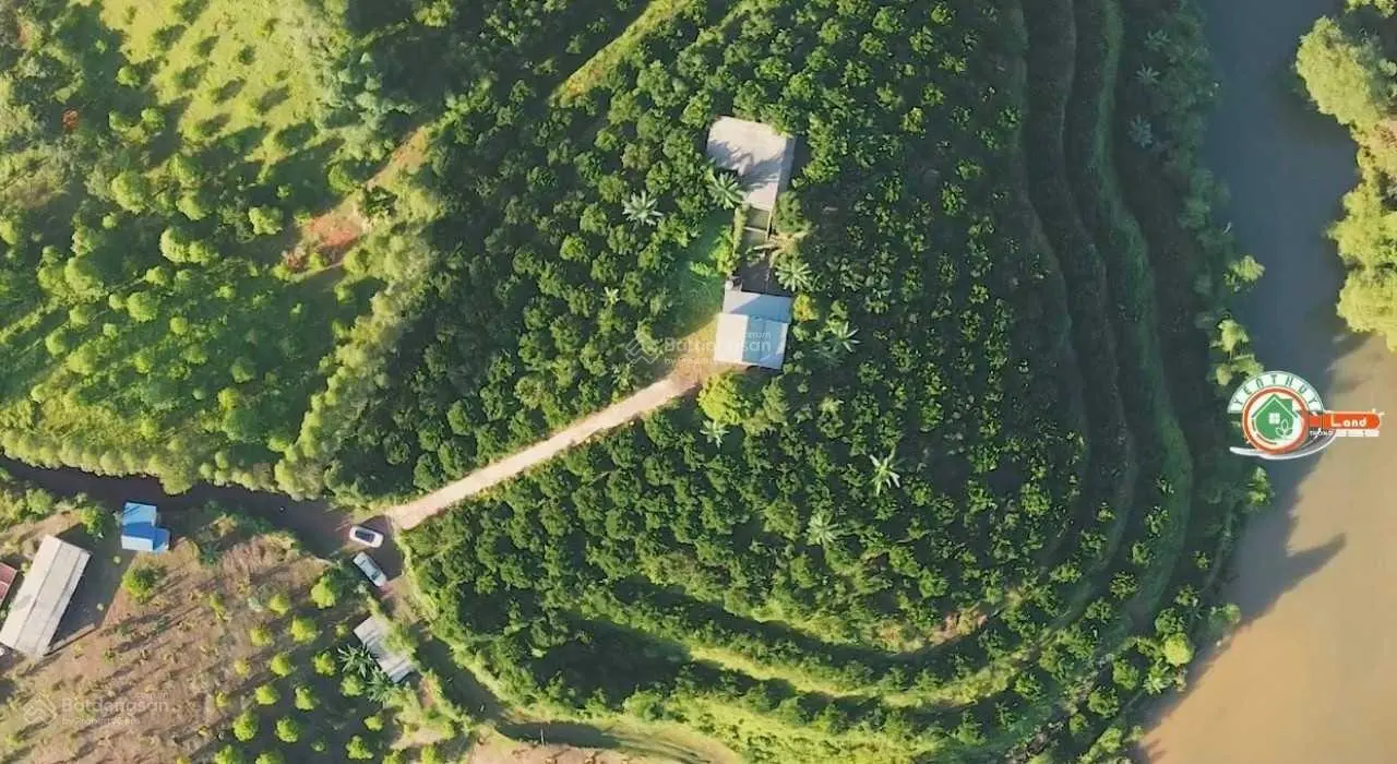 Bán lô đất tại Quyết Thắng, Lạc Sơn, Hòa Bình. Diện tích 15000m2