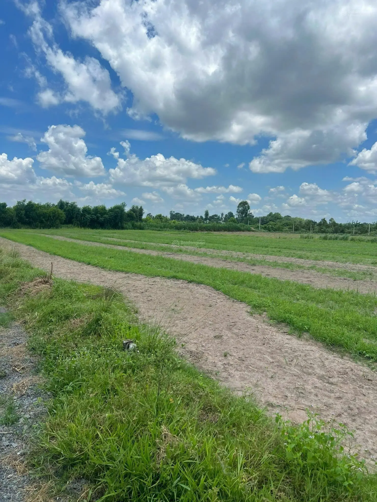 Bán đất tại Khu dân cư Rạng Đông Tây Ninh, 270 triệu, 250m2