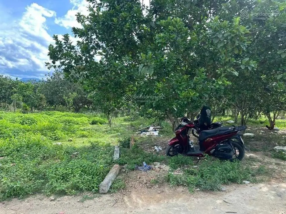 Bán đất Khánh Thành, Khánh Vĩnh, Nha Trang