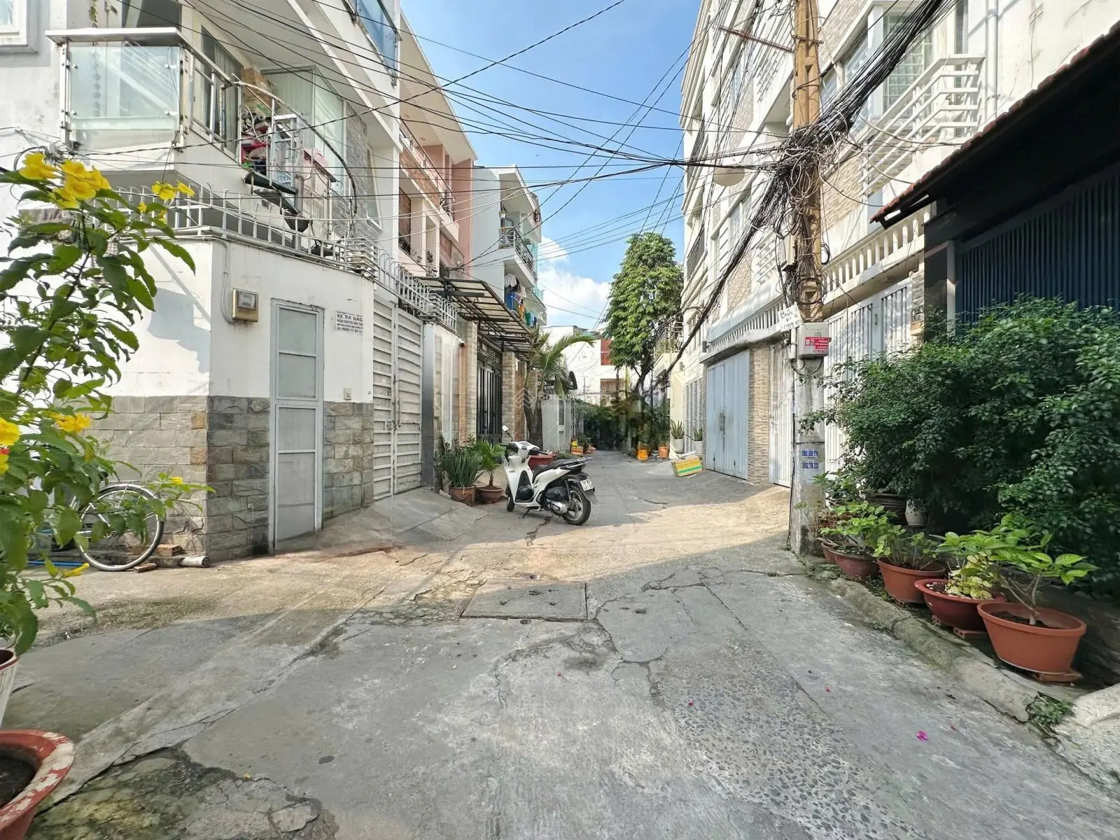 Bán chdv 12 phòng p7 bình thạnh - giáp phan đăng lưu, hoàng hoa thám - (4.5/5.2x21) 95m2 - 4 tầng