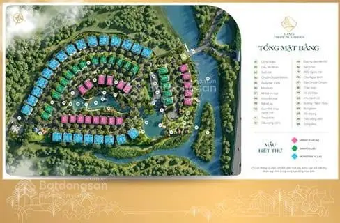 Biệt thự Xanh villas 220 m2, 235m2, 275m2, 320m2, 500m2