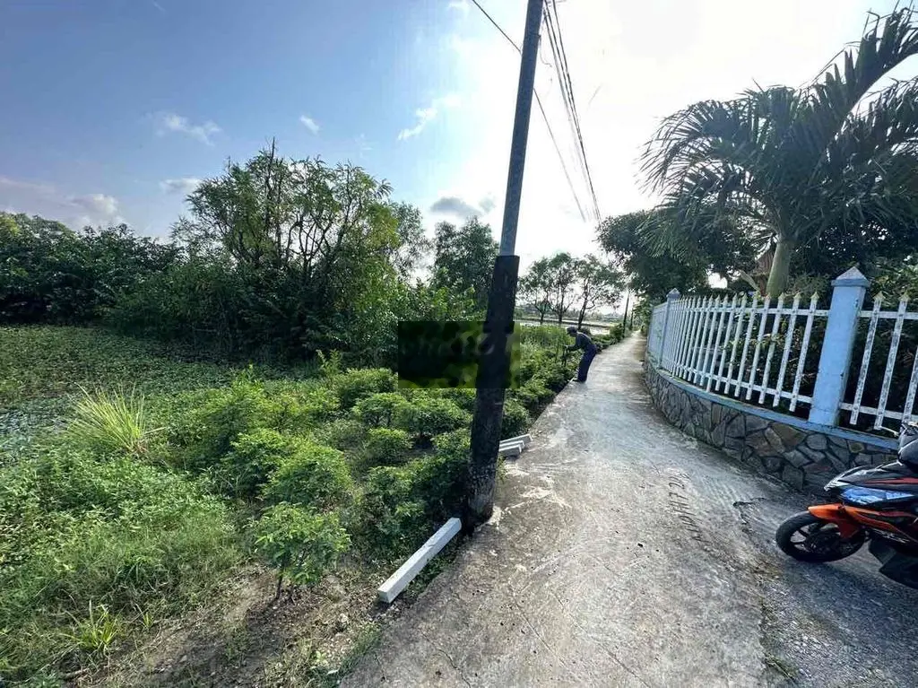 đất lúa cần bán