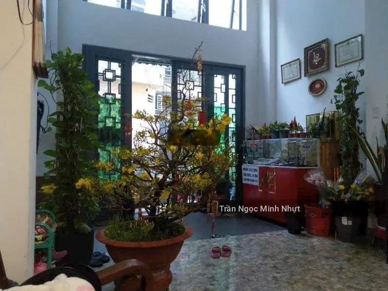 NHà bán giá rẻ Tân Bình - CHDV 89m2, 5 tầng - 11.5tỷ - Phường 4