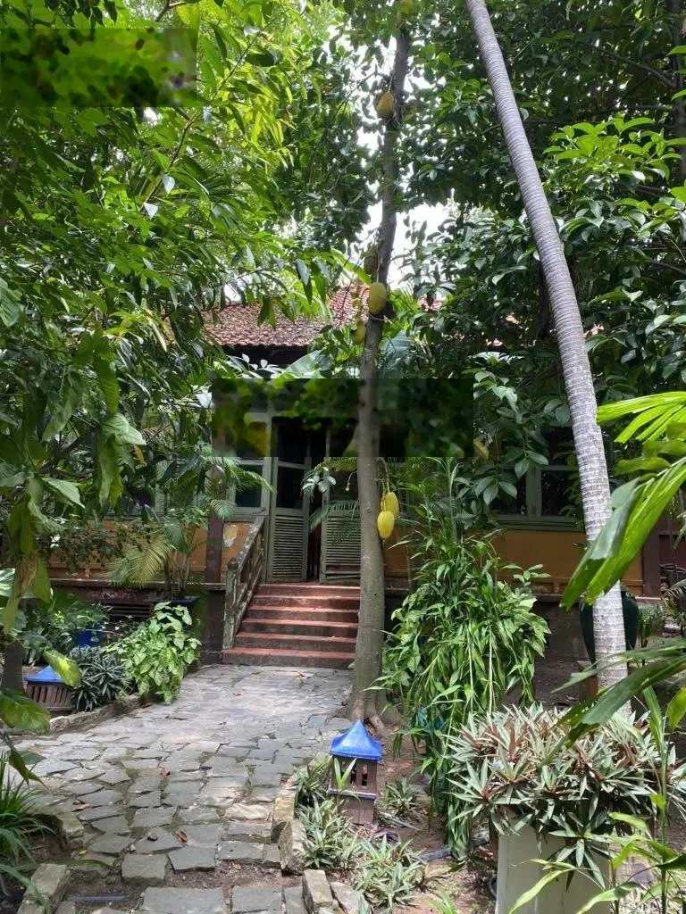 Bán khu sinh thái độc nhất dĩ an hơn 4.130m2 thổ cư 3 biệt thự pháp bộ sưu tập đồ cổ ngàn năm