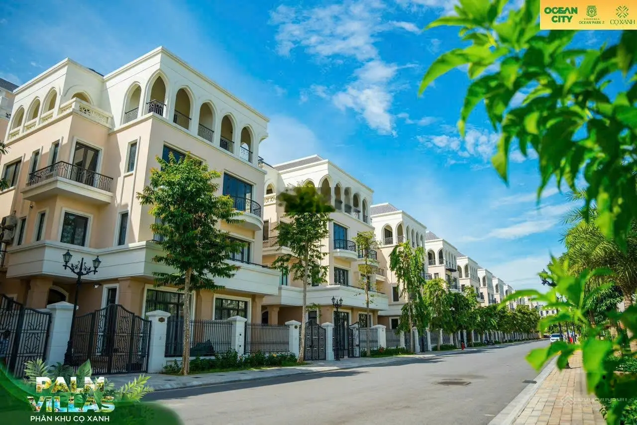 Tôi cần bán lại căn biệt thự song lập ở khu Cọ Xanh, view công viên tại Vinhomes Ocean Park 2