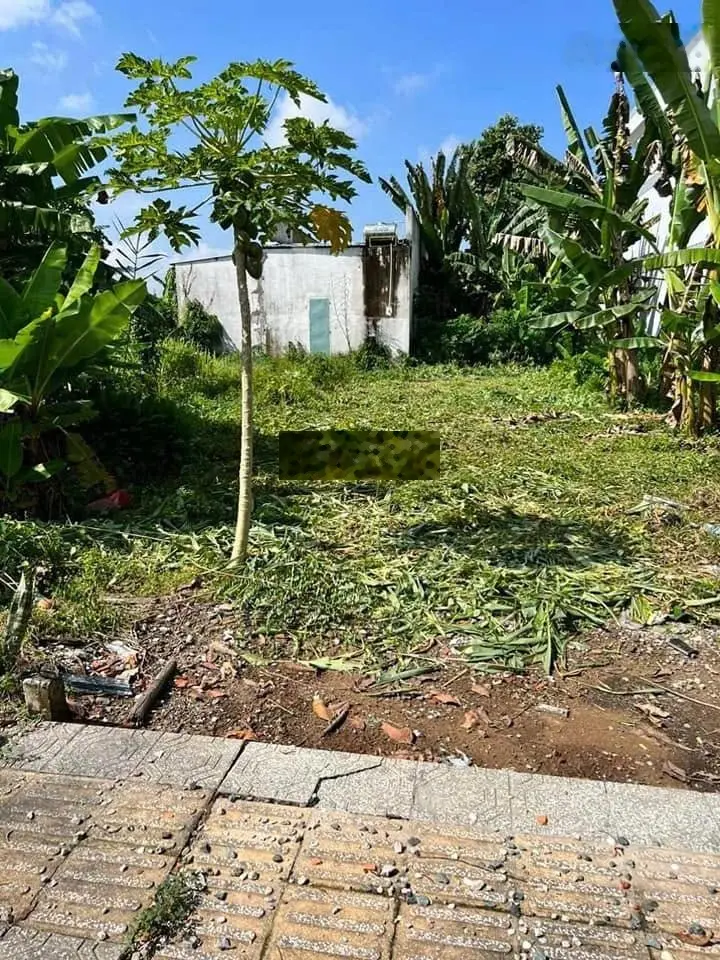 ĐẤT THỔ CƯ TẠI PHÚ HƯNG, BẾN TRE CHÍNH CHỦ SHR, GIÁ 580 TRIỆU/165m2, SANG TÊN CÔNG CHỨNG LIỀN