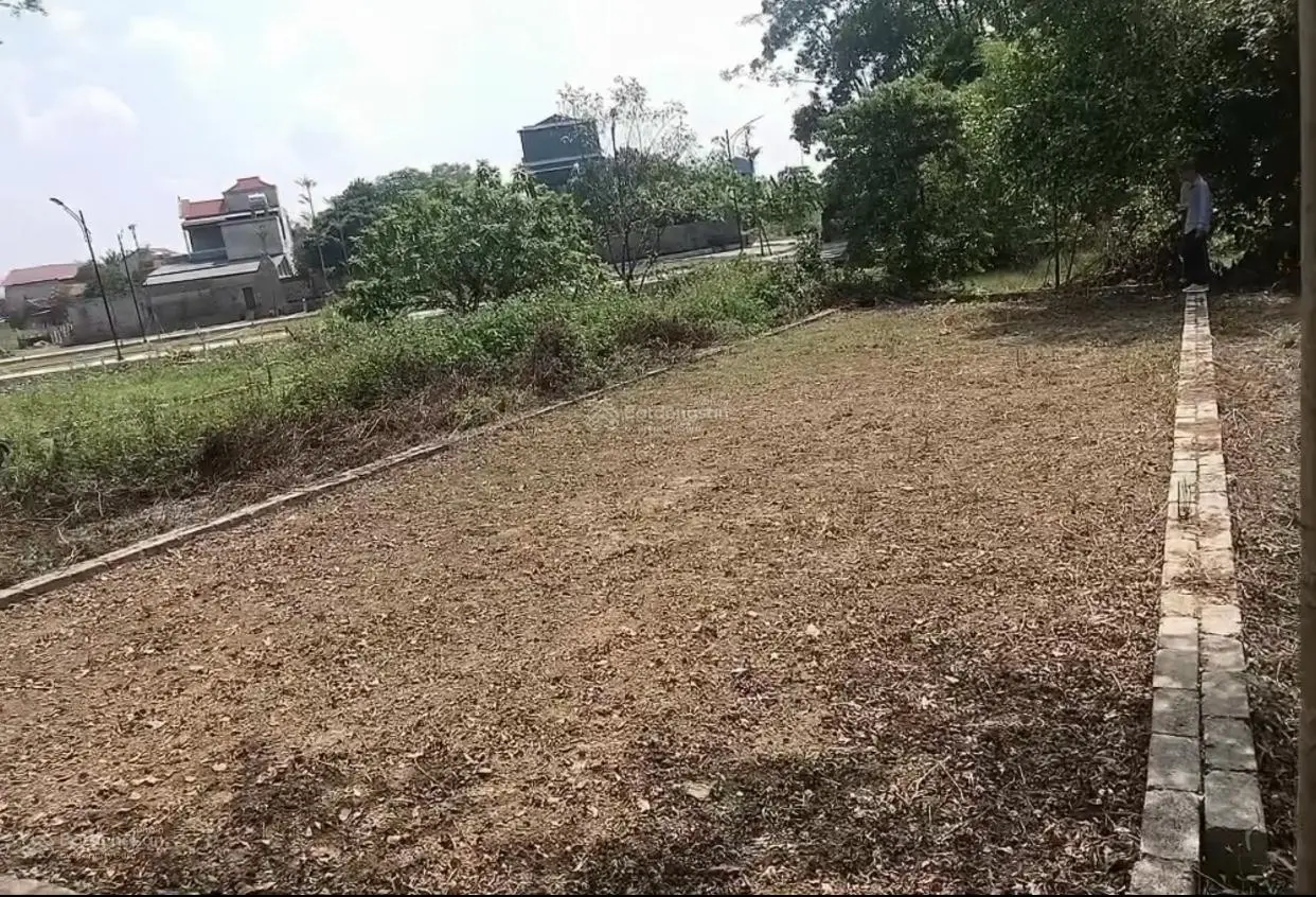 LÔ RẺ HƠN VÀI GIÁ vị trí Đồi Sen, Thạch Thất, HN 0981 769 ***