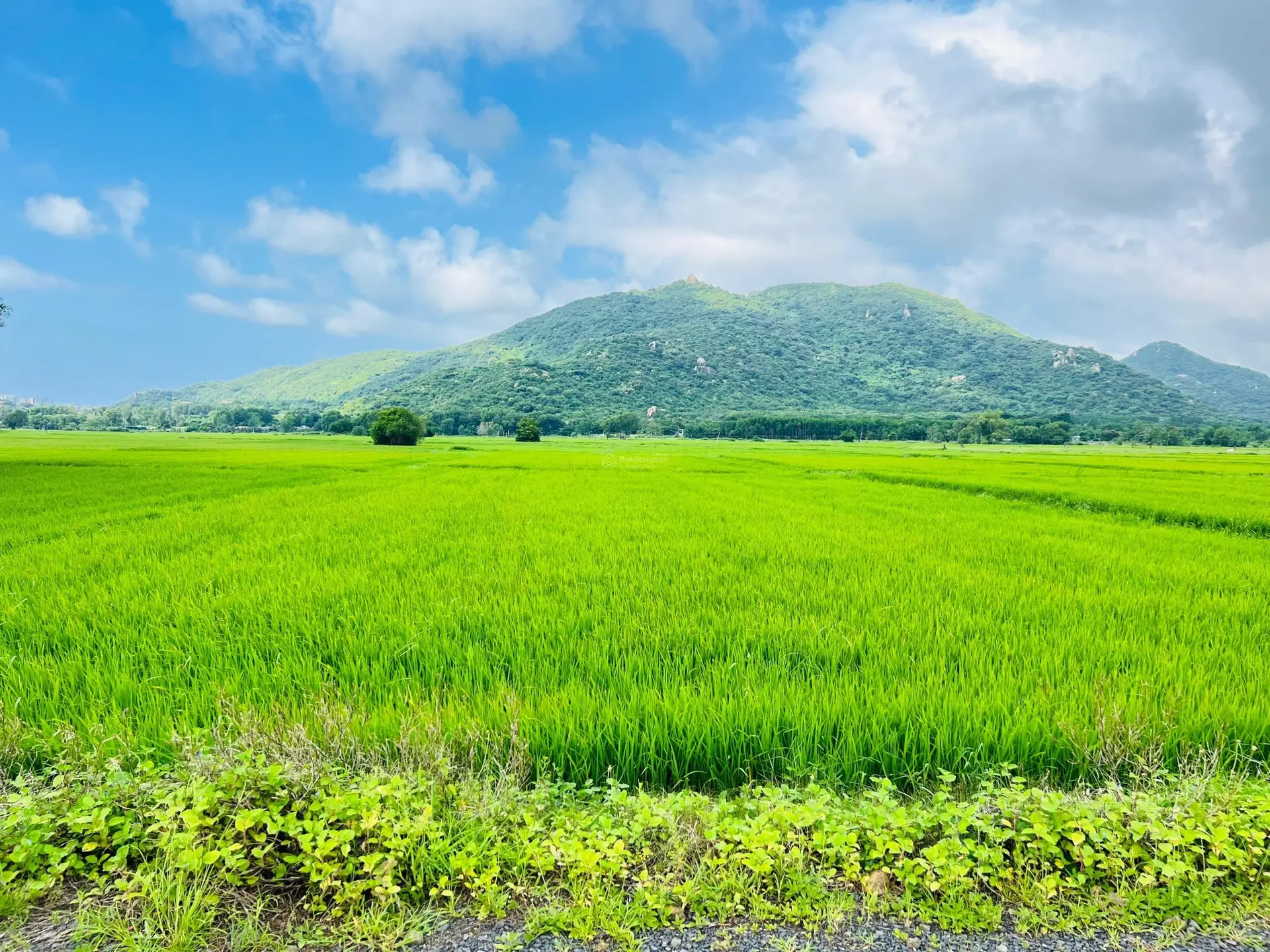 SIÊU PHẨM NGAY THỊ TRẤN PHƯỚC HẢI - LÀM NHÀ VƯỜN - SECOND HOME BAO RẺ ĐẸP TIỀM NĂNG Ạ