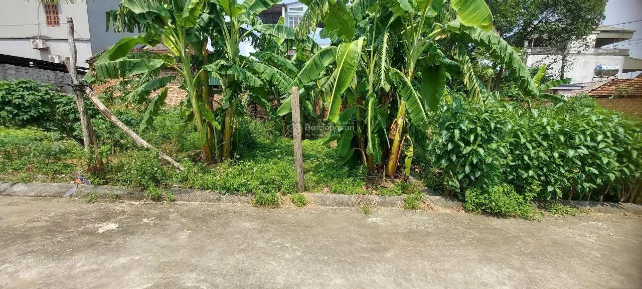 Bán 64m2 trung tâm Hoà Lạc bám mặt trục chính Yên Mỹ, Bình Yên, Thạch Thất, Hà Nội