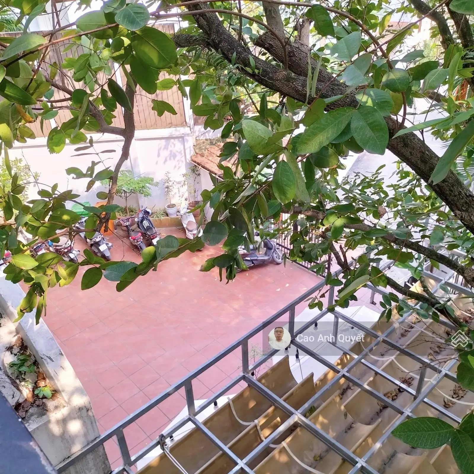 Bán nhà phố Tây Hồ quận Tây Hồ 650m2 8T MT 20m, lô góc ô tô tránh 1 sổ 1 chủ 245 tỷ đường Tây Hồ