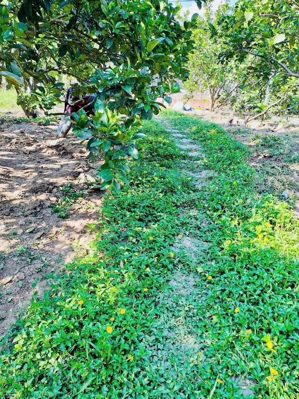 Chính chủ cần tiền làm ăn bán lô đất ngay thị trấn Khánh Vĩnh giá rẻ, LH: 0762 111 ***