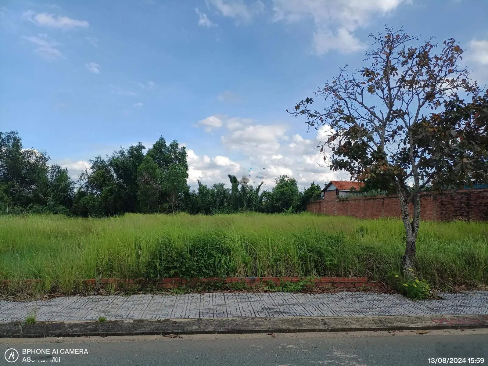 Bán 530,8m2 đất Long Thuận, Đảo Kim Cương Quận 9, 12x45m mặt sông 180m2 thổ cư, giá 22 tỷ
