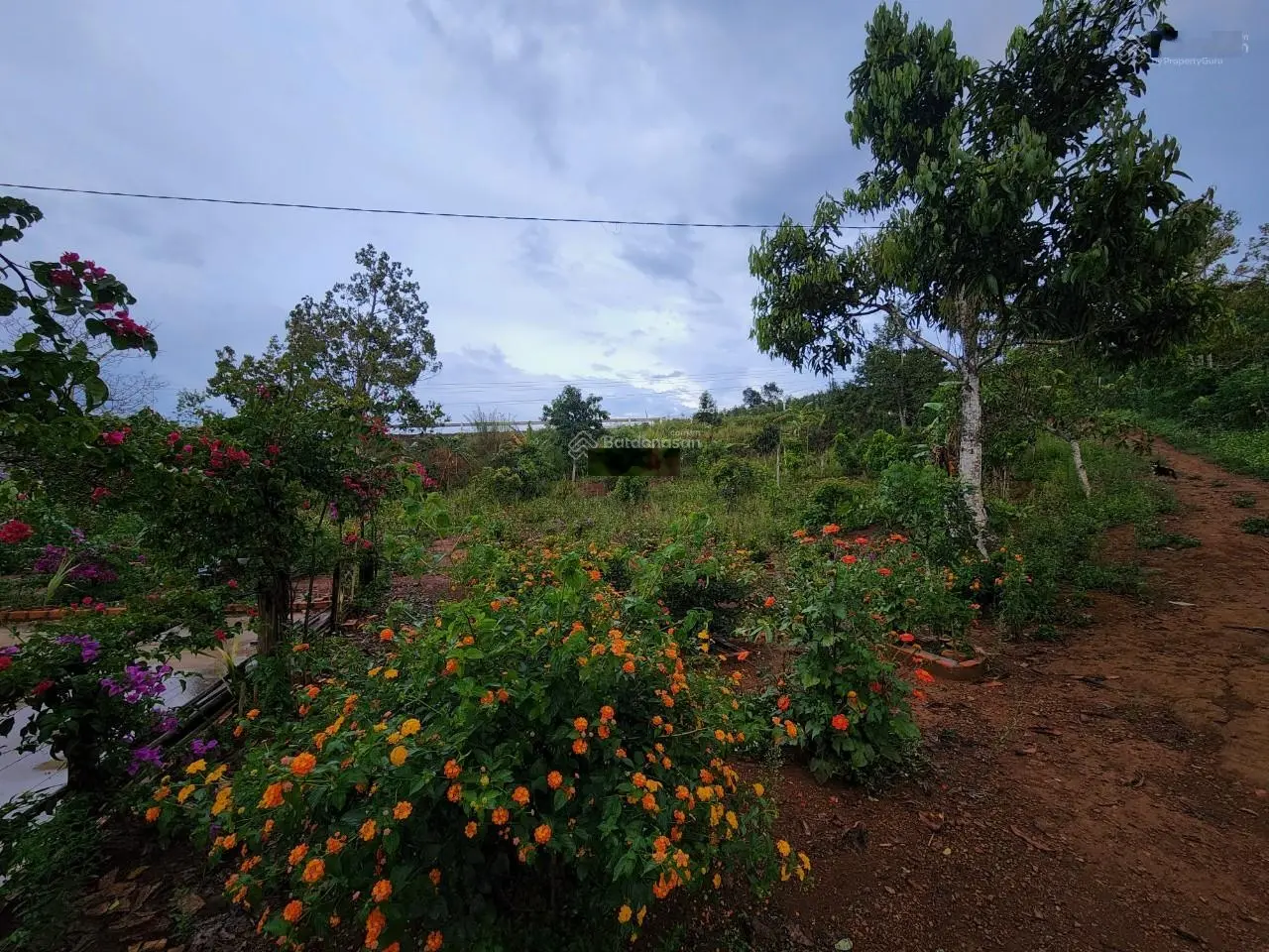6.5ha, 390m mặt tiền QL28, suối chảy quanh năm, gần Gia Nghĩa Đắk Nông