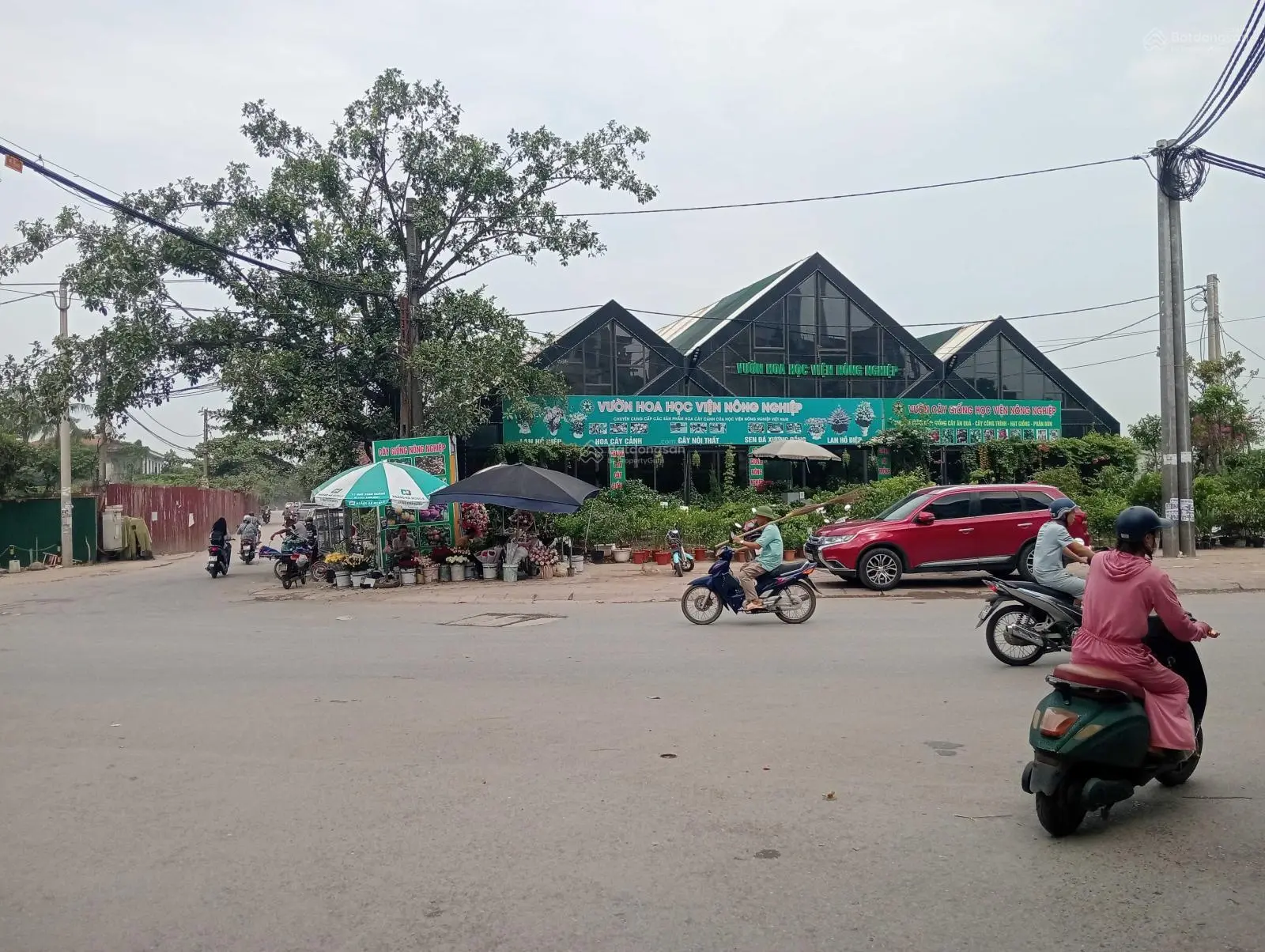 Ô tô tránh - vỉa hè - kinh doanh 77,3m2, MT6m - xây siêu thị - biệt thự - ccmn - toà văn phòng