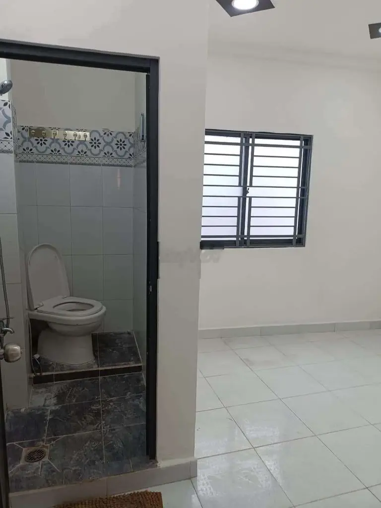 Bán nhà đẹp xinh Phạm Thế Hiển P5 Q8
