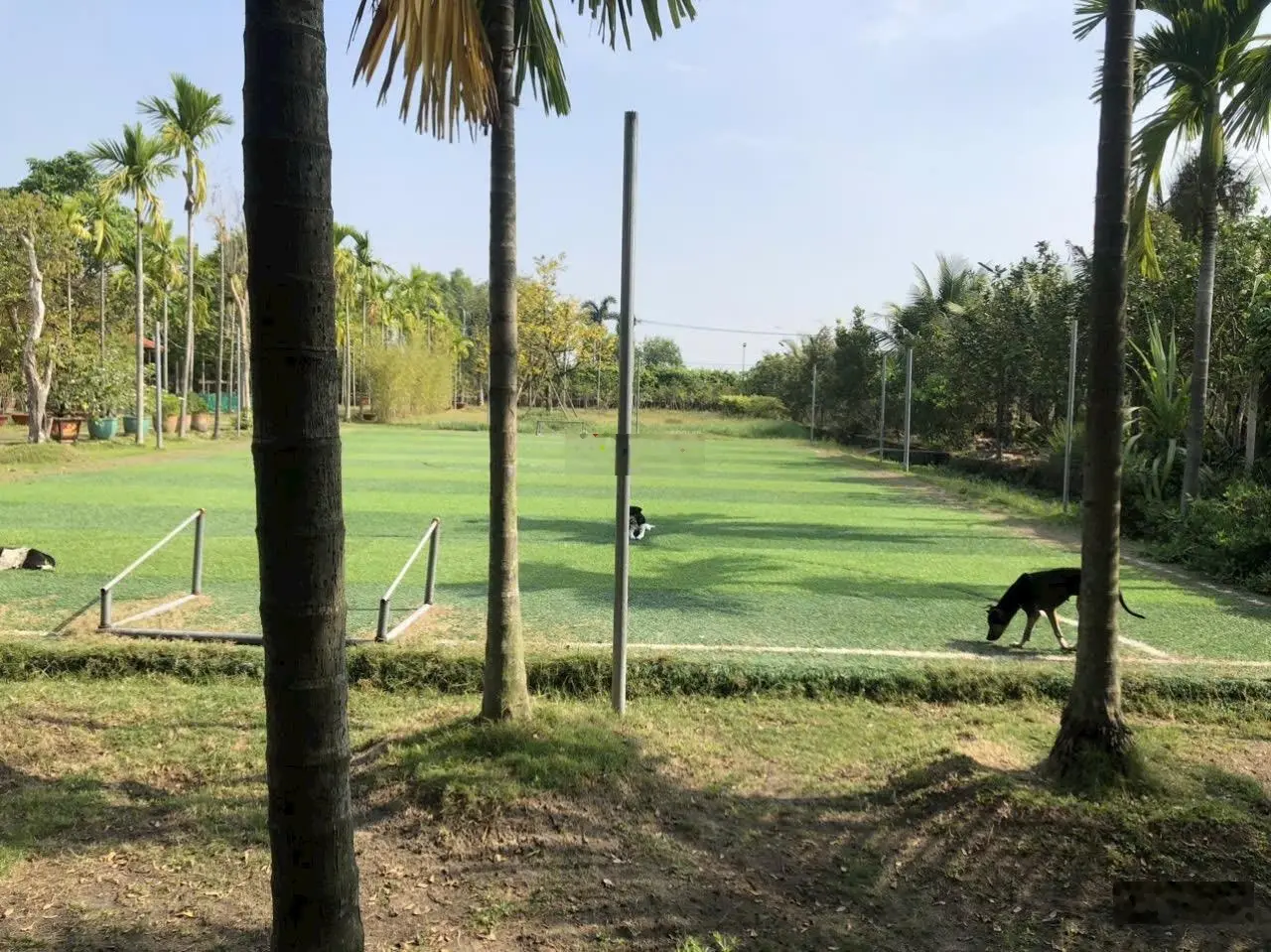 Nhà vườn 7.800m2 gần sông Sài Gòn - Khuôn viên đẹp như resort