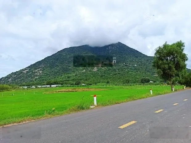 Cần bán gấp 540m2 đất ở, trung tâm thành phố Tây Ninh giá 595 triệu, dưới chân núi Bà, sổ sẵn