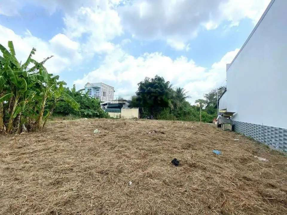 Chính chủ cần bán 120m2 đất giá 445tr cách chợ bến tre 100m ở đường Phan Đình Phùng có SHR