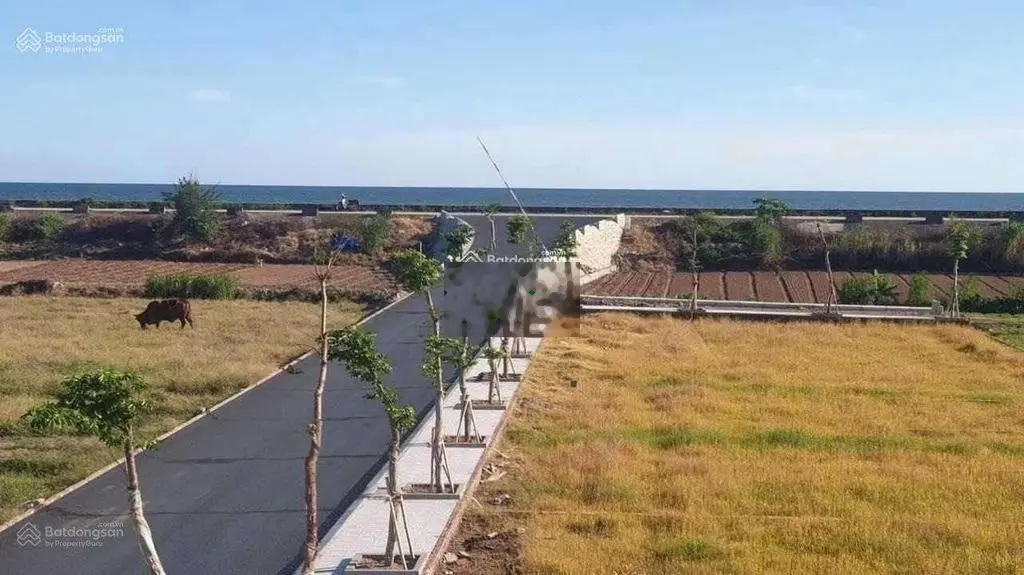 Bán lô đất tại Quất Lâm, Nam Định. Diện tích 85m2, giá 1,3 tỷ