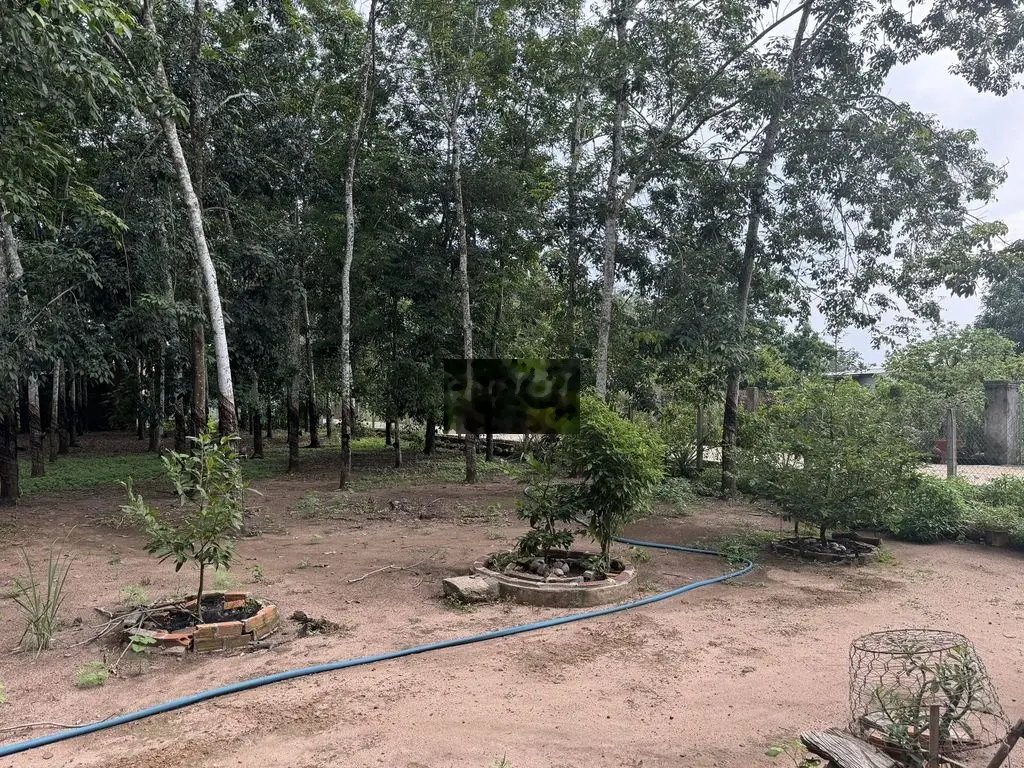 bán 2400m2 thị trấn Đức Tài