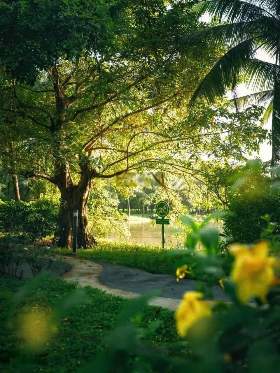 Eco Retreat - Không bán nhà mà trao yêu thương và giá trị môi trường sống
